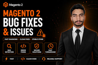 fix any type of bugs and issue from magento 2