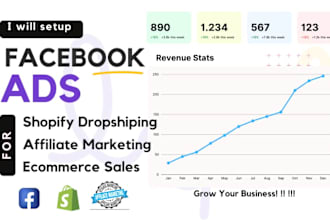 setup facebook ads for shopify dropshipping affiliate marketing, ecommerce sales