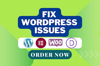 fix wordpress issues, css , errors, bugs, provide wp help
