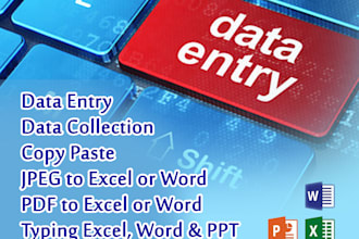 do fast typing job, retype scanned documents, your typist