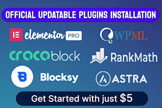 install elementor pro, astra pro, blocksy, wpml, rank math, crocoblock plugin