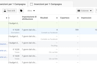 design a facebook or google campaign ads