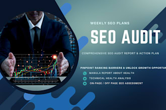 provide a website SEO audit report and action plan