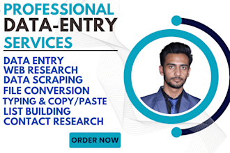 do professional data entry, lead generation and file conversion tasks
