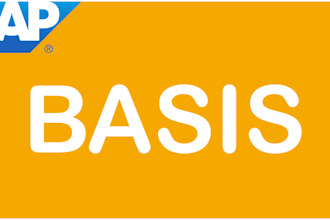 be your sap hana basis administrator