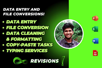 do data entry typing work, excel data entry and all file conversions