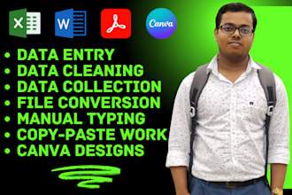 do consumer data representation, organize, document cleaning and file conversion