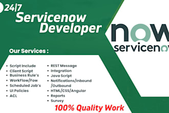 with any servicenow integration, scripting work job support