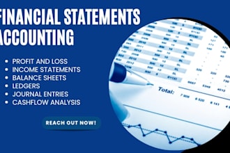 handle income statements, profit and loss, ledgers, balance sheets for you