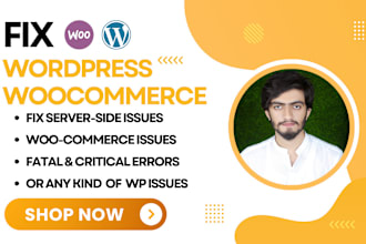 fix wordpress and woocommerce bugs, errors and issues with expertise