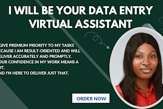 provide high quality data entry for you