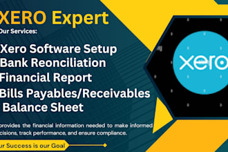 do bookkeeping and be an expert for xero