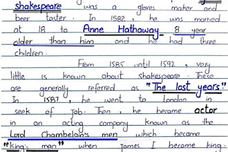 neatly handwrite any assignment, documents and study notes for you