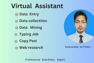 be your virtual assistant for data entry, copy pest typing