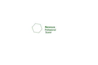 do nessus pro vulnerability scan