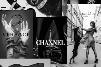 create a mood and concept boards for you