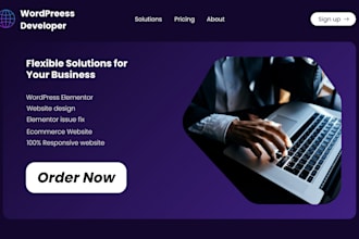 build wordpress elementor and ecommerce websites