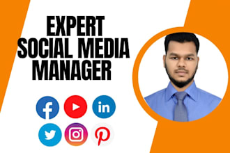 be your expert social media manager