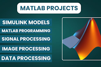 do your matlab programming, image processing and simulink projects