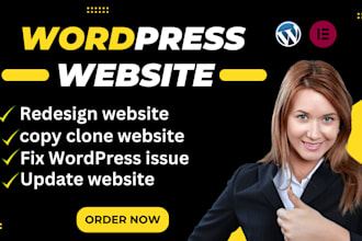 design, redesign, duplicate, clone, fix, revamp wordpress website or homepage