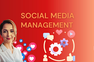 be your instagram marketing manager and content creator