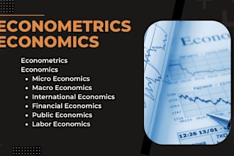 handle econometrics, economics, international, financial, micro and macro