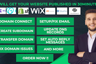 connect,transfer,redirect domain or subdomain,migrate email any domain website