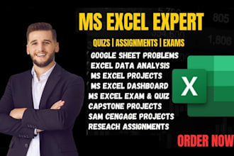 do urgent ms excel assignments ms word projects and powerpoint presentations
