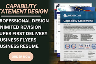 design professional government capability statement