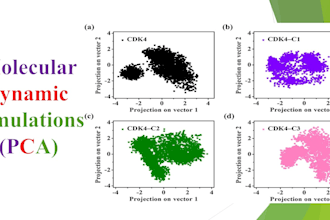 do protein ligand molecular dynamic simulations