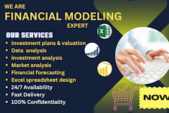 provide professional financial forecasts and business plan development