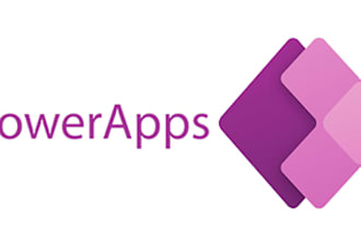 implement custom power apps and flows for your business