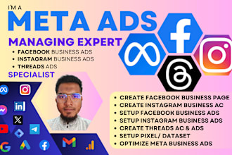 setup ads campaigns by meta ads manager for facebook or instagram business pages
