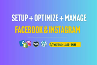 setup facebook ads campaign, instagram ads, fb marketing