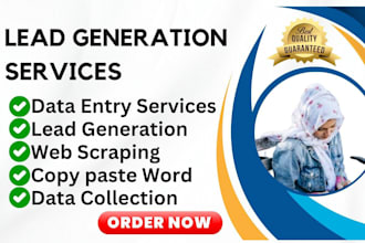 provide data entry, lead generation and web scraping as your terms