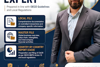 prepare transfer pricing documentation