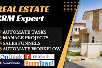 setup liondesk boomtown realvolve brivity lofty realtyna sierra interactive CRM
