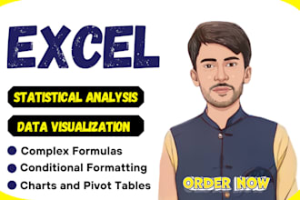 do excel data analysis, statistical data analysis and data visualization