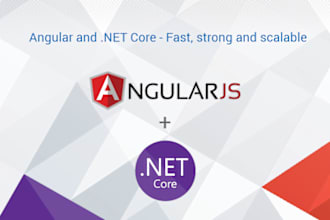 develop angular and dotnet websites and bugs fixing for you