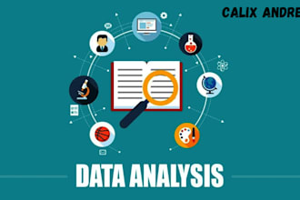 perform statistical data analysis with spss, r, or excel