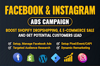 setup and optimize facebook ads, instagram ads campaign for sales and leads
