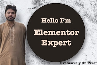 create elementor wordpress website, elementor website design