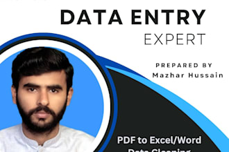 do data entry, convert PDF, jpeg, web scraping and more