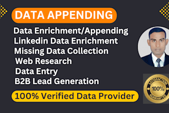 do data enrichment, appending, data entry and b2b lead generation