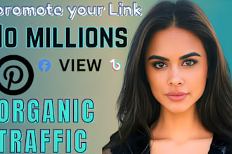 run website marketing, pinterest ads or boost website promotion, 10 million view