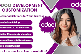 provide professional odoo development and customization services