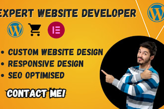 design a professional wordpress website or web design for your business
