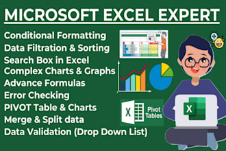 do excel conditional formatting, pie chart, line bar graph, formula, pivot table