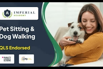 do responsive dog walking, dog training, dog grooming website