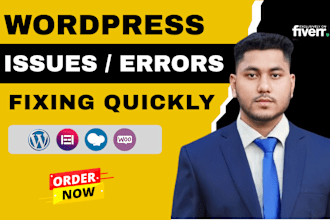 fix any wordpress issues, elementor bugs, errors in quickly